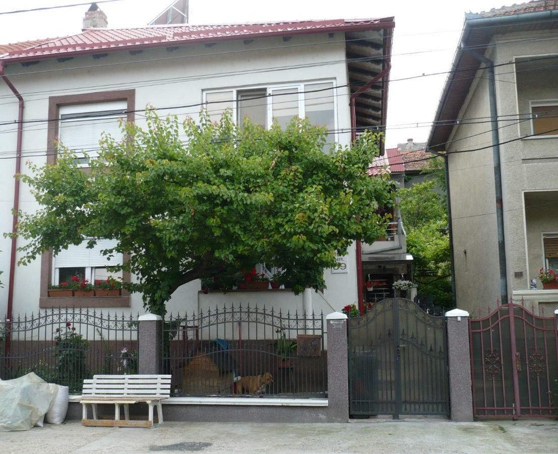 Orşova Casa Chiva酒店 外观 照片